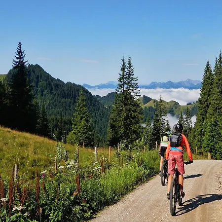 アパート In Aschau By Zillertal Alps, Cleaning Included *